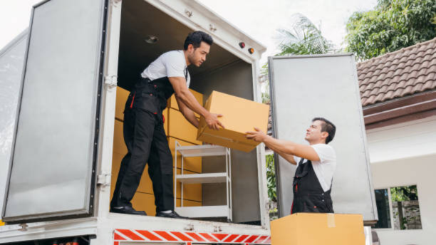 Untitled design (44)