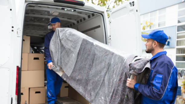 Untitled design (46)