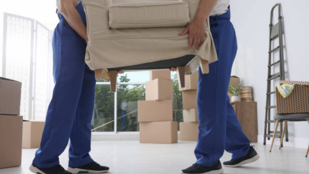 Untitled design (47)