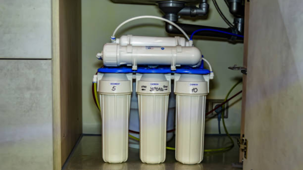 Untitled design (50)